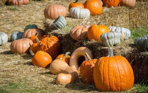 抓马娱乐会火吃瓜  第3张