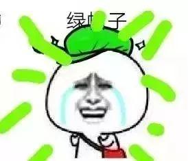 微信中吃瓜表情包  第2张